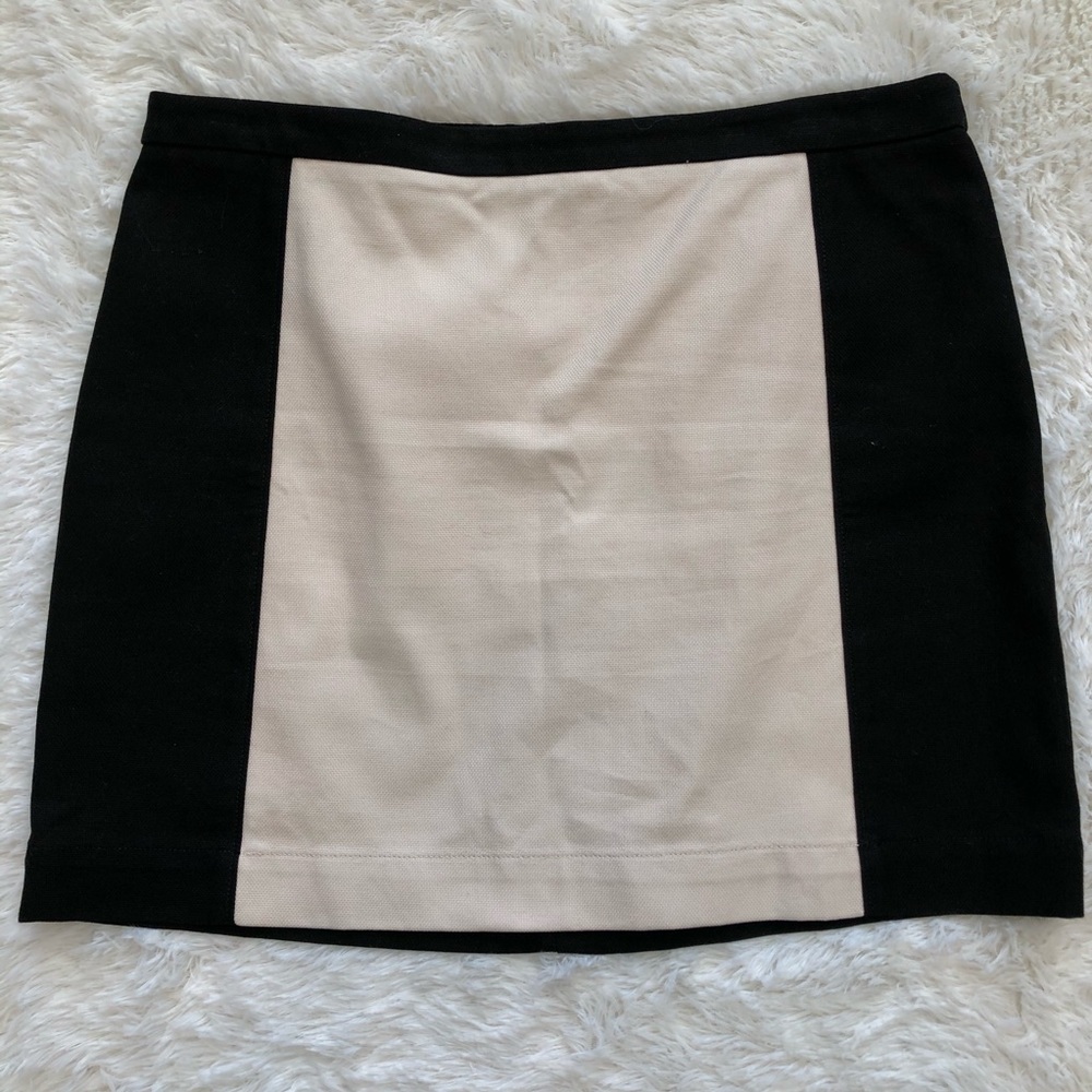 Loft Canvas Color Block Skirt